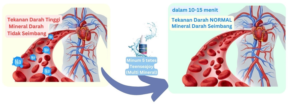 cara kerja teenseajoy supplemen multimineral alami kaya magnesium kalsium