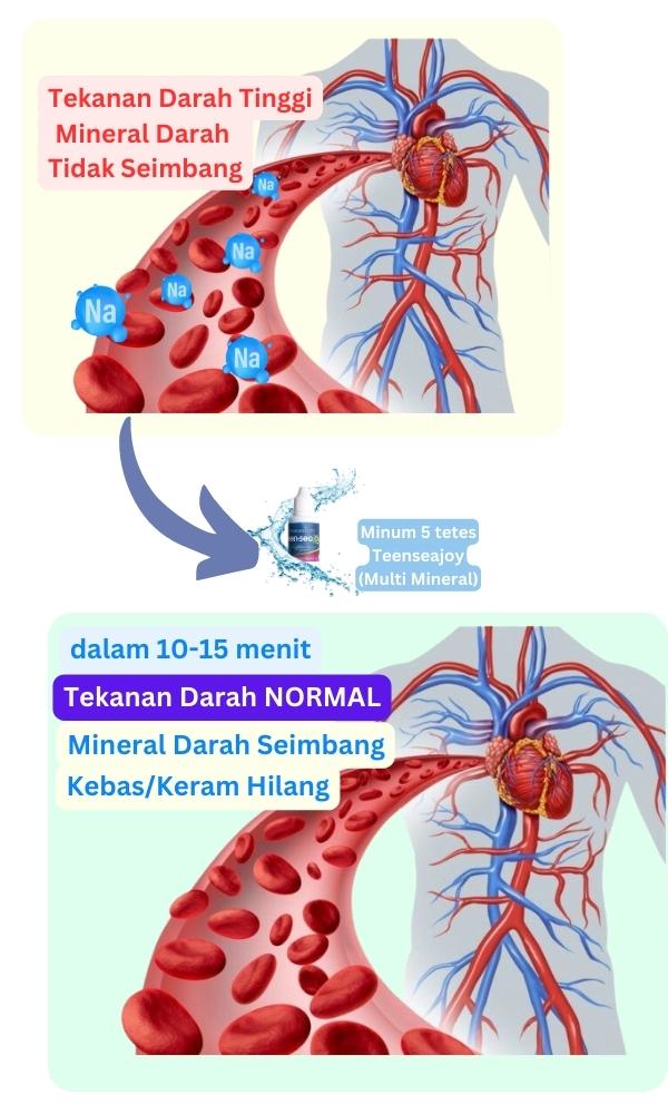 cara kerja teenseajoy supplemen multimineral alami kaya magnesium kalsium